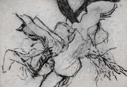 Nudo
