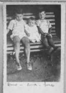 I tre fratelli, Bruno-Anna-Enrico